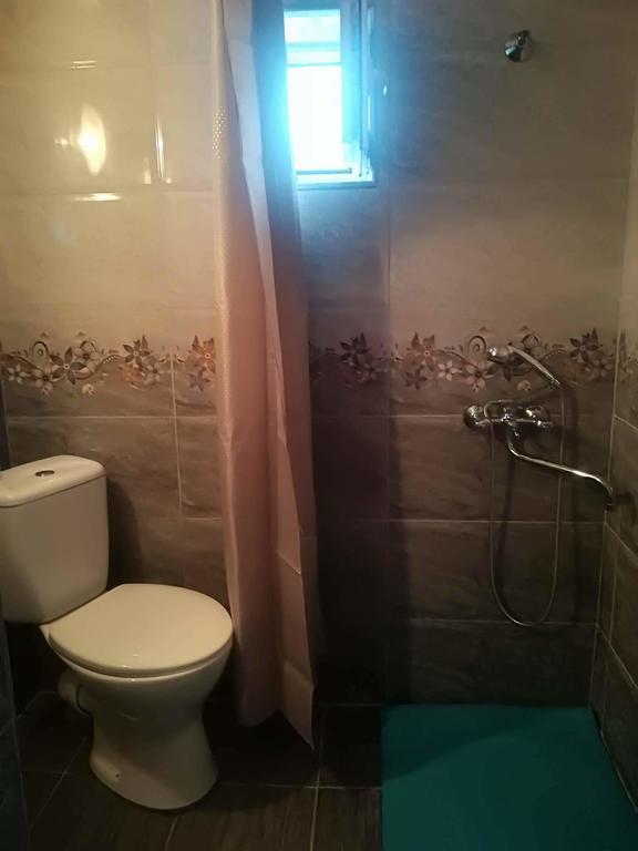 Nikoloz Guesthouse Kazbegi Bagian luar foto